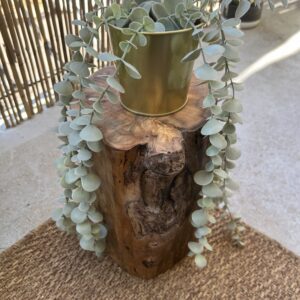 tabouret en bois naturel avec veinage apparent finition brute décoration artisanale