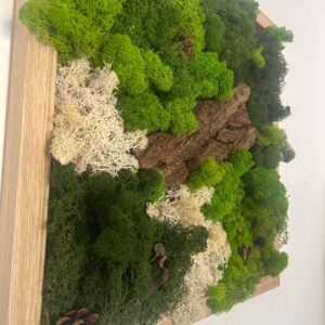 Tableau végétal artisanal en bois naturel avec mousse stabilisée.