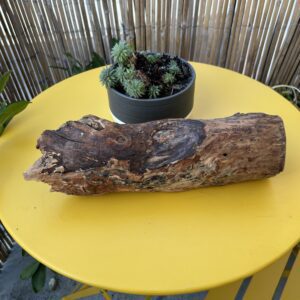 sculpture bois naturel clair forme organique objet decoration bois brut