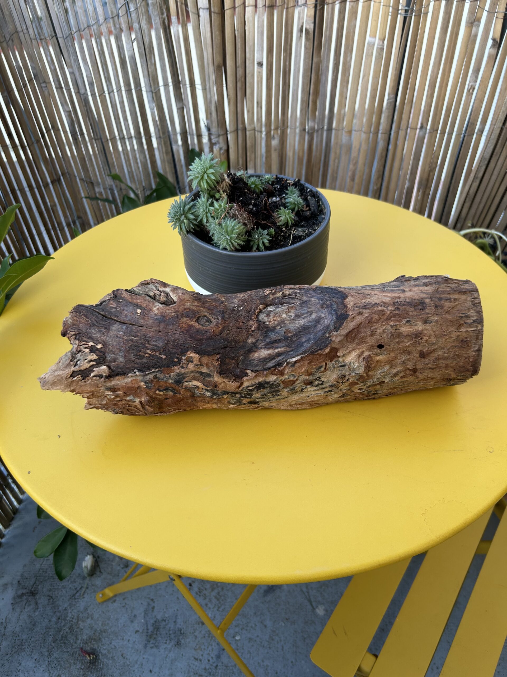 sculpture bois naturel clair forme organique objet decoration bois brut