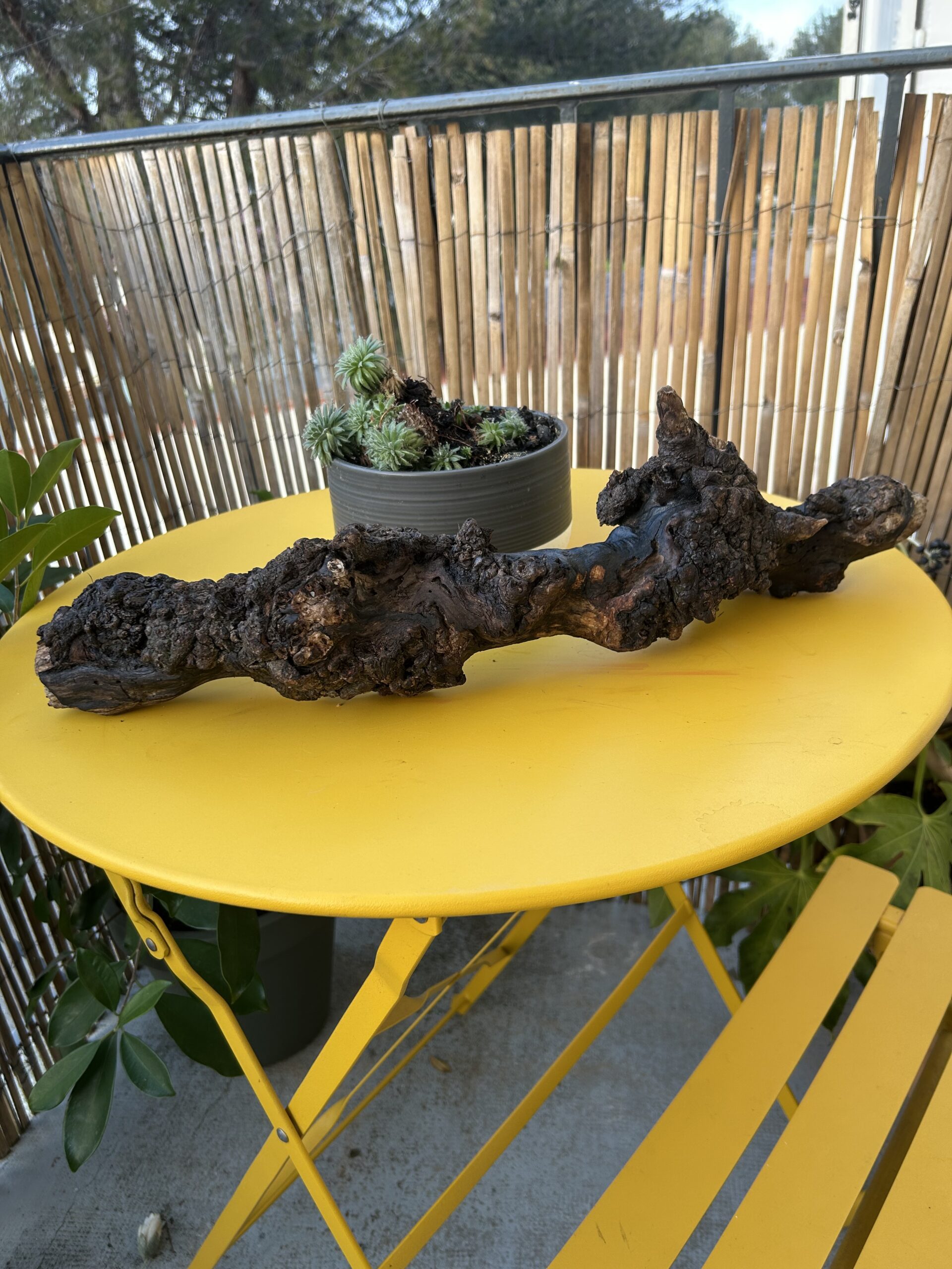 Sculpture torsadée en bois foncé, forme organique