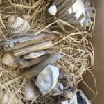 Décoration intérieure en bois flotté fait main avec bougie naturelle et guirlande
