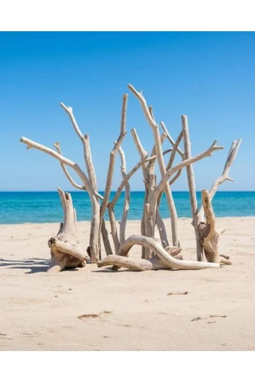Bois flotté naturel, pièce unique façonnée par la mer, idéale pour une décoration artisanale authentique et apaisante.