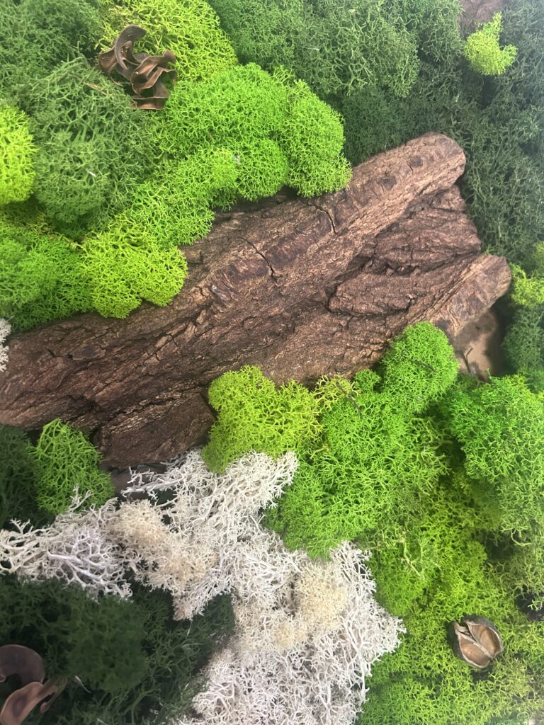 Décoration murale végétale en plantes stabilisées, tableau végétal artisanal pour salon, bureau ou chambre.