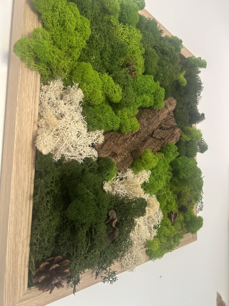 Tableau végétal artisanal fait main avec mousse stabilisée et cadre en bois naturel pour décoration murale.