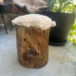 Tabouret rustique en chêne